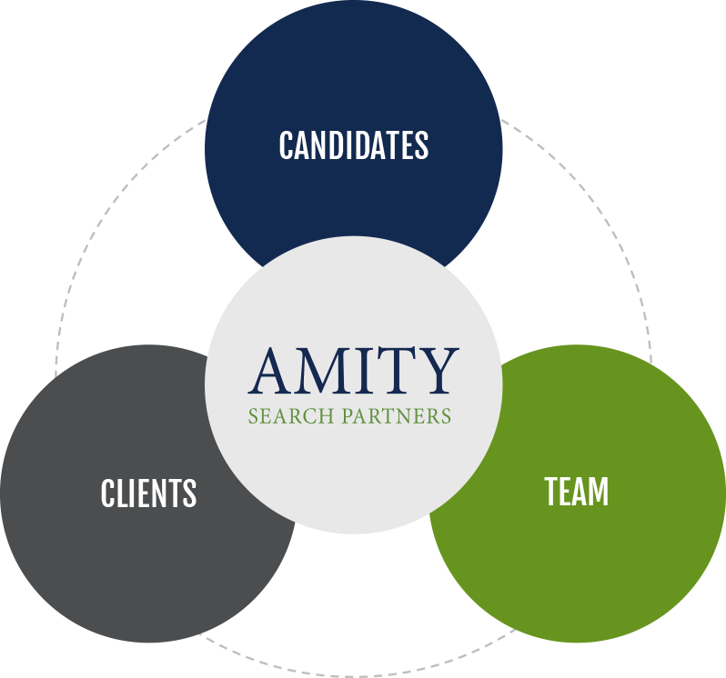 Amity Search Partners Approach